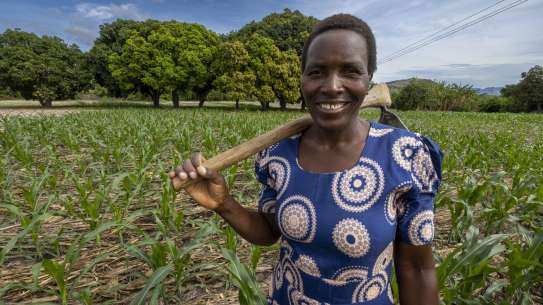 Nyarai Zirugo in her crop field in Zimbabwe