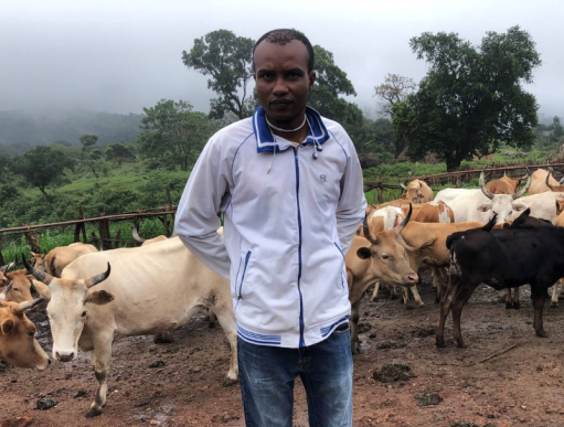 Man with cattle in Sierra Leone
