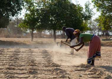 Jessica and her husband are preparing dry field adjacent to their home in Zimbabwe