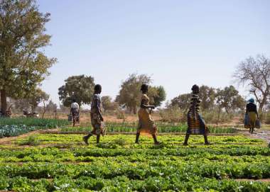 Women walking across an irrigation site at a Christian Aid funded project