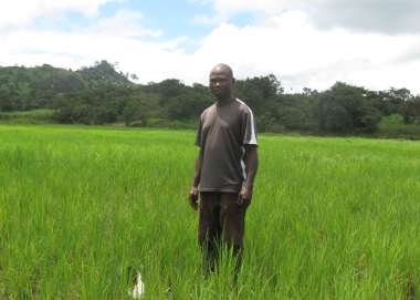 Man standing in rice field Sierra Leone